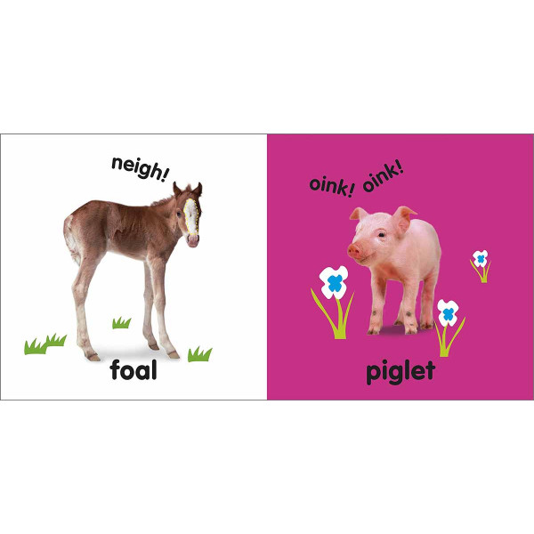 BABY TOUCH AND FEEL BABY ANIMALS 