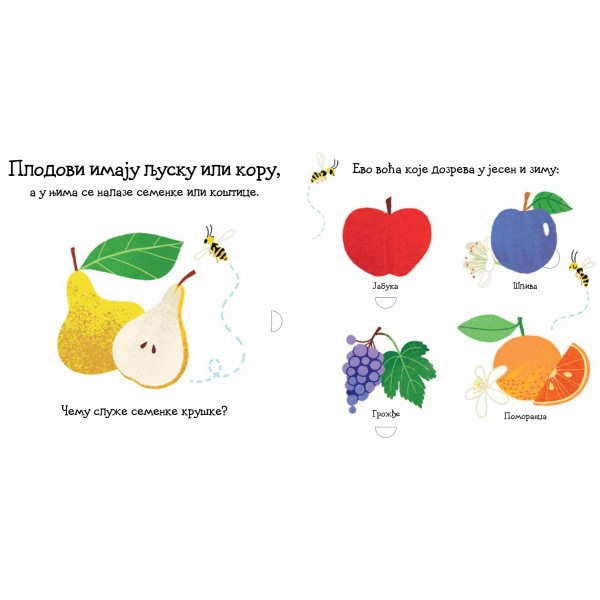 VOĆE: SLIKOVNICA S PROZORČIĆIMA I TOČKIĆIMA 