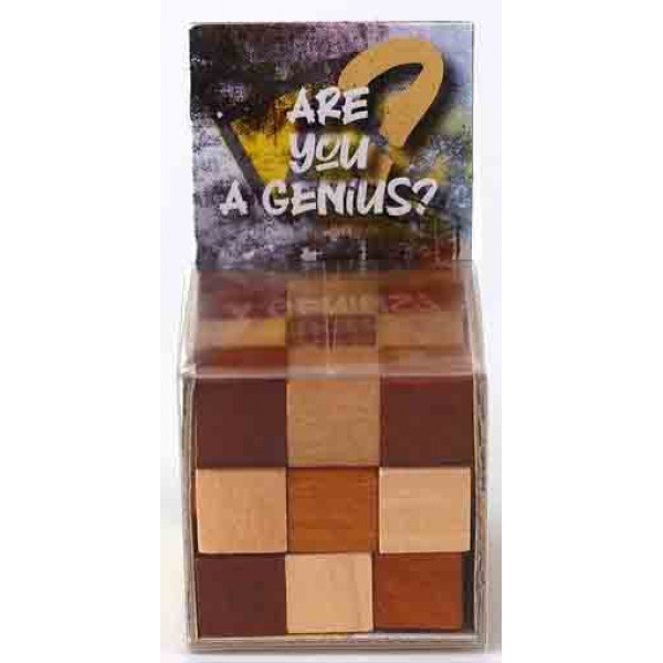 Mozgalica ARE YOU GENIUS 