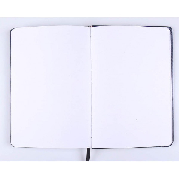 HARRY POTTER premijum sveska RAVENCLAW 