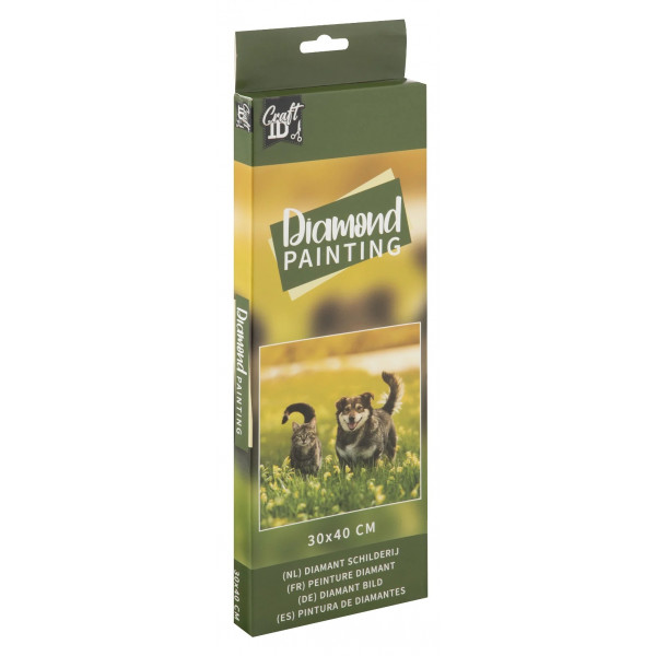 Slikanje cirkonima DIAMOND PAINTING 30x40 cm Kuca i maca 