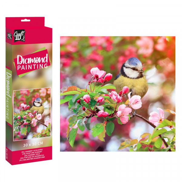 Slikanje cirkonima DIAMOND PAINTING 30x30 cm Ptica 