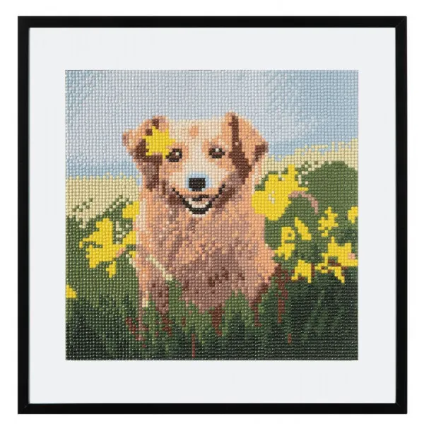 Slikanje cirkonima DIAMOND PAINTING 30x30 cm Pas 