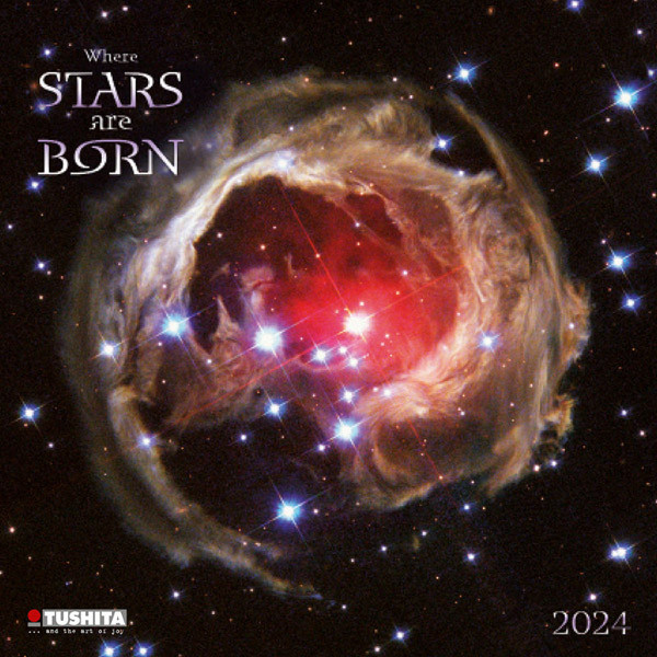 Zidni kalendar WHERE STARS ARE BORN 2024 