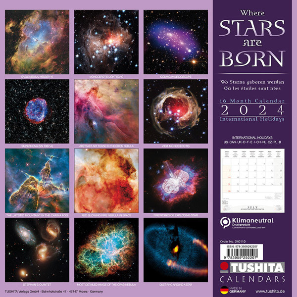 Zidni kalendar WHERE STARS ARE BORN 2024 