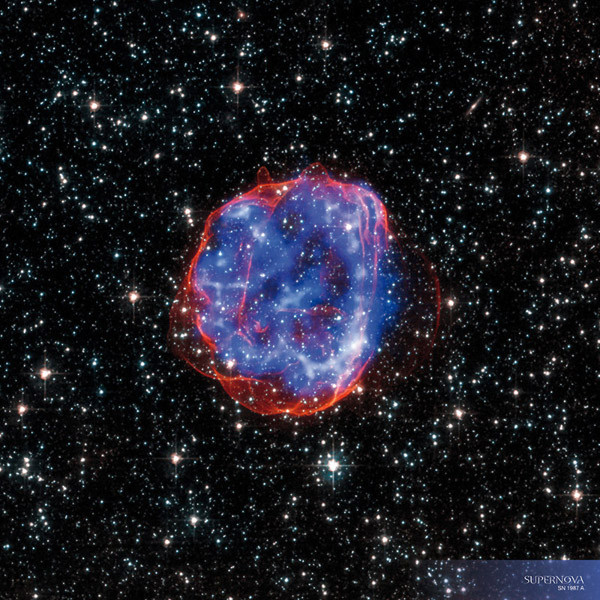 Zidni kalendar WHERE STARS ARE BORN 2024 