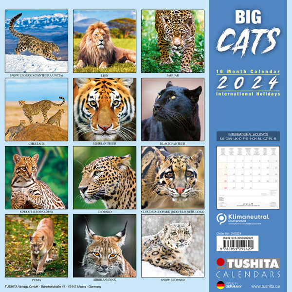 Zidni kalendar BIG CATS (NEU) 2024 