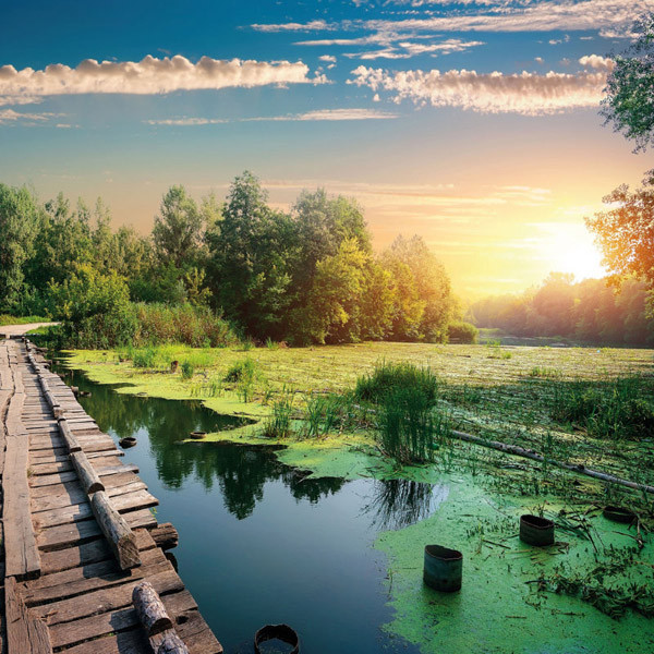 Zidni kalendar DIE SONNE GEHT AUF 2024 