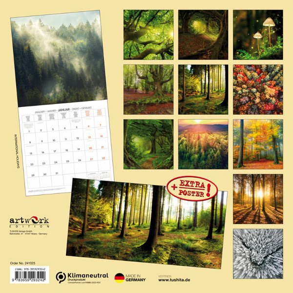 Zidni kalendar FOREST NATURE 2024 