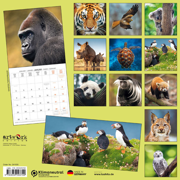 Zidni kalendar BEDROHTE TIERWELT (NEU) 2024 