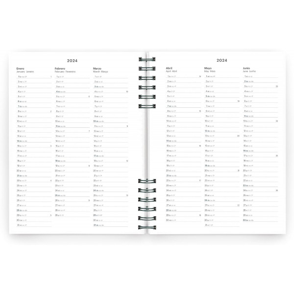 MIQUELRIUS Datumirani planer za 2024. - PETROL 