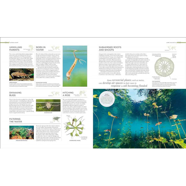 HABITATS Discover Earth's Precious Wild Places 