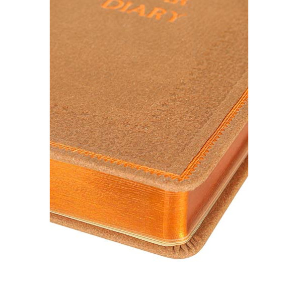 VICTORIA'S JOURNALS petogodišnji dnevnik 