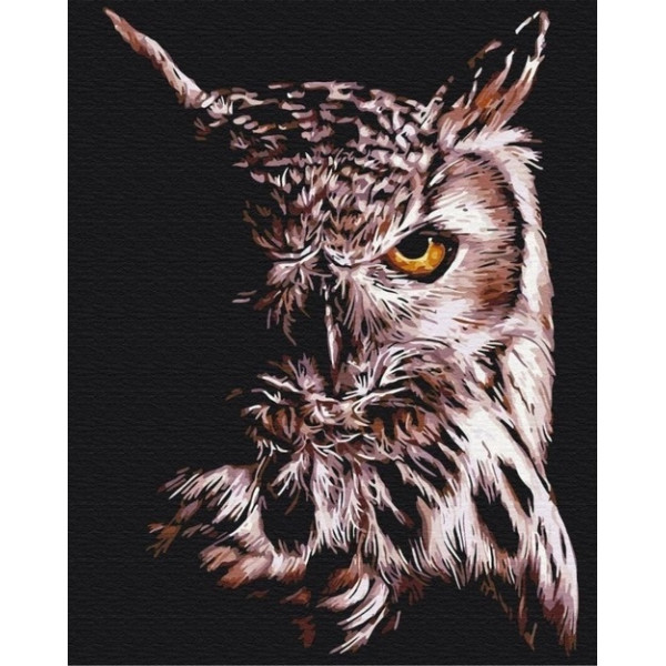 Kreativni set OBOJ PO BROJEVIMA - SOVA 40x50 cm 