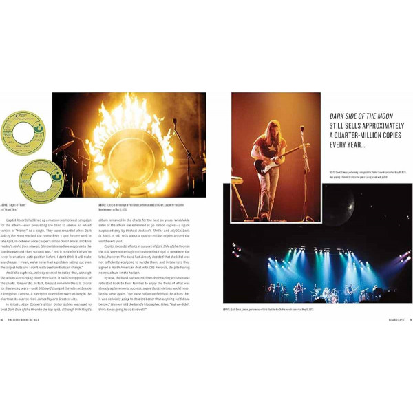 PINK FLOYD Behind the Wall 