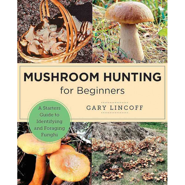 MUSHROOM HUNTING FOR BEGINNERS 