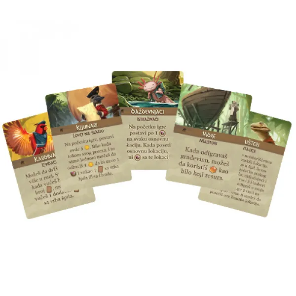 Društvena igra EVERDEL BELFER 