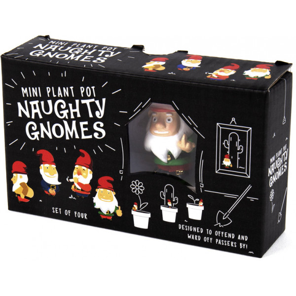 Mini figurice za saksiju NEVALJALI PATULJCI 