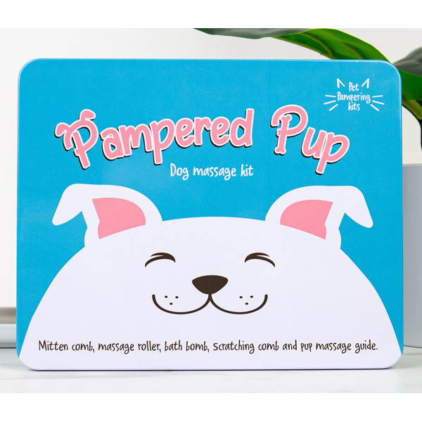 Komplet za masažu psa 