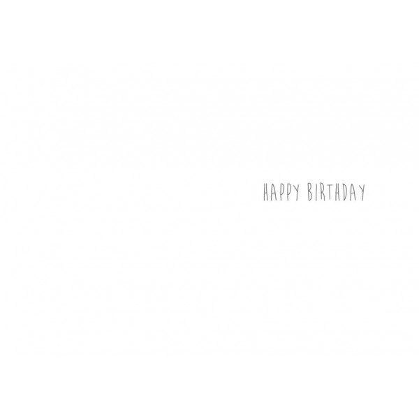 Rođendanska čestitka OLD GUY 