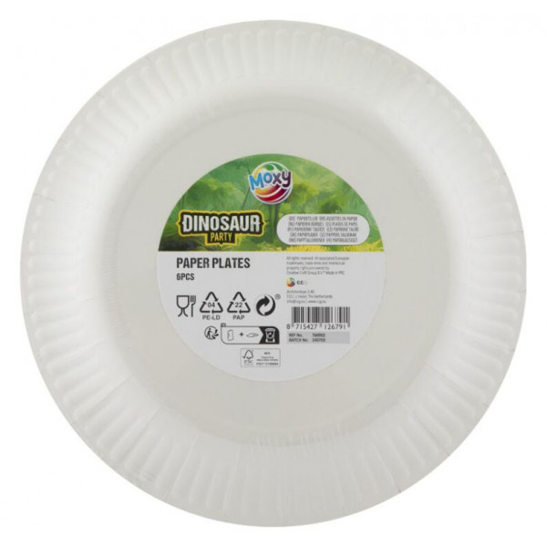 Rođendanski tanjiri 23cm DINO 6 kom 