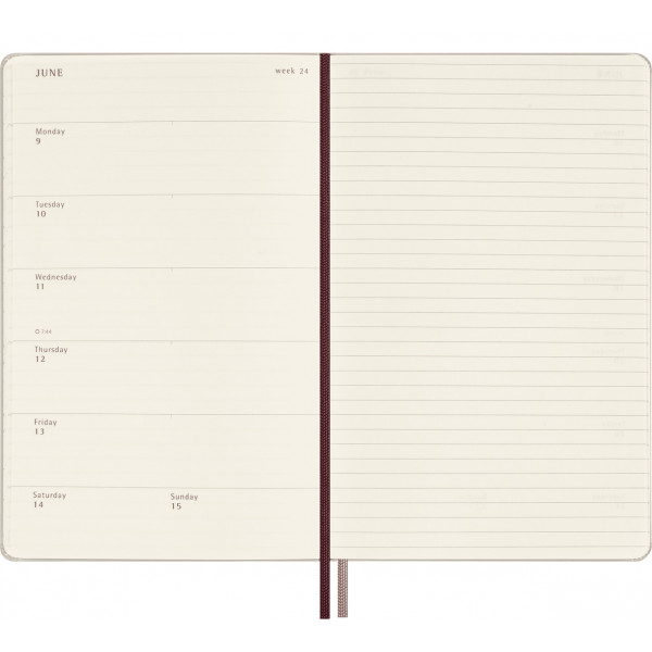 Datumirana (nedeljna) beležnica 2025 MOLESKINE WINGARDIUM Harry Potter 