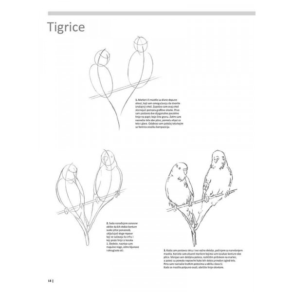 VEŽBANKA ZA VELIKU ŠKOLU CRTANJA ŽIVOTINJA 