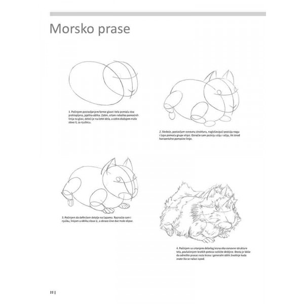 VEŽBANKA ZA VELIKU ŠKOLU CRTANJA ŽIVOTINJA 