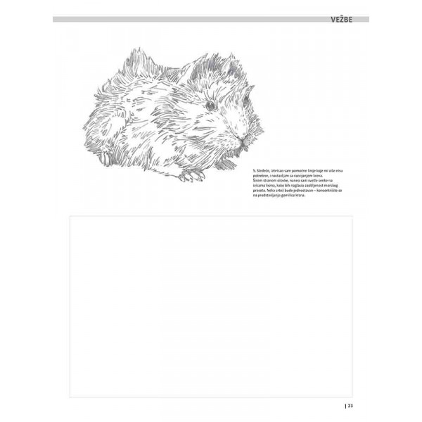 VEŽBANKA ZA VELIKU ŠKOLU CRTANJA ŽIVOTINJA 