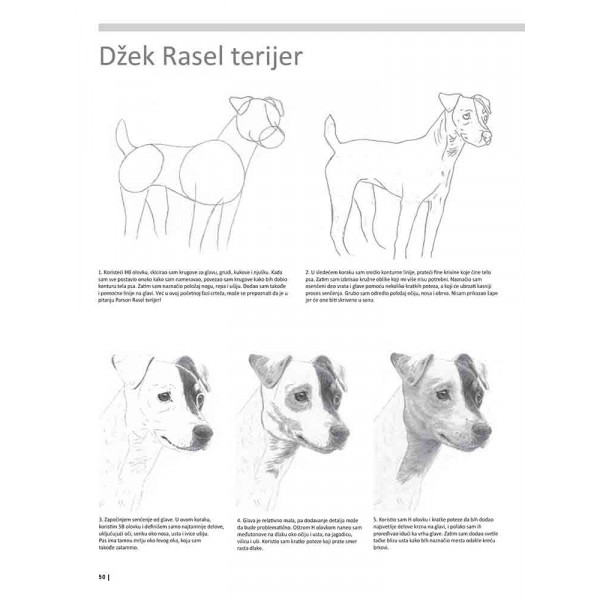 VEŽBANKA ZA VELIKU ŠKOLU CRTANJA ŽIVOTINJA 