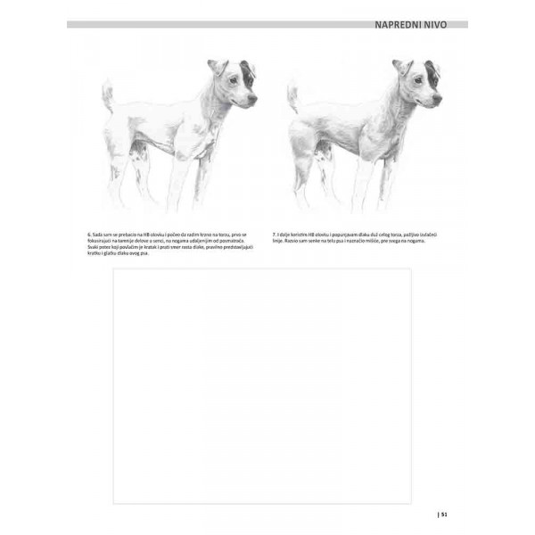 VEŽBANKA ZA VELIKU ŠKOLU CRTANJA ŽIVOTINJA 