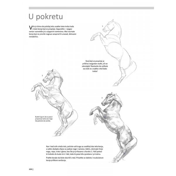 VEŽBANKA ZA VELIKU ŠKOLU CRTANJA ŽIVOTINJA 