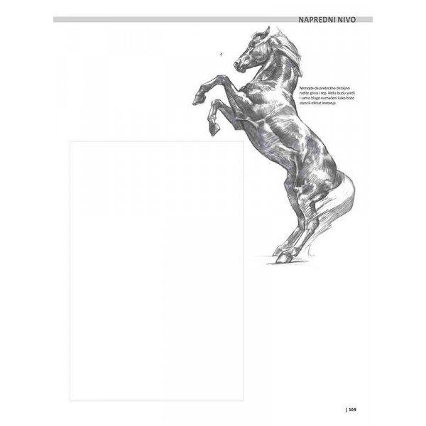 VEŽBANKA ZA VELIKU ŠKOLU CRTANJA ŽIVOTINJA 