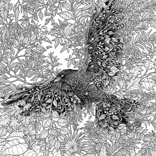 SVET FANTASTIKE - BOJANKA 