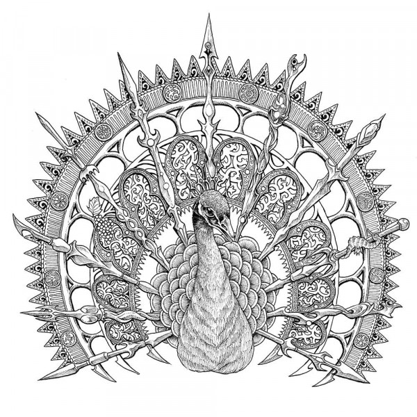 SVET FANTASTIKE - BOJANKA 