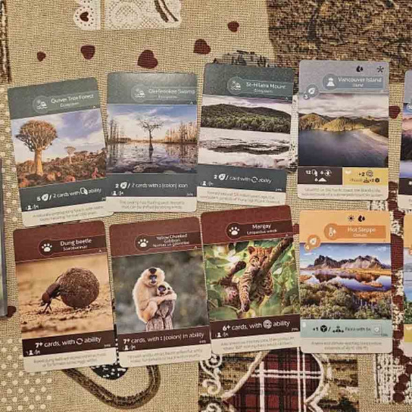 ZEMLJA EKSPANZIJA IZOBILJE 