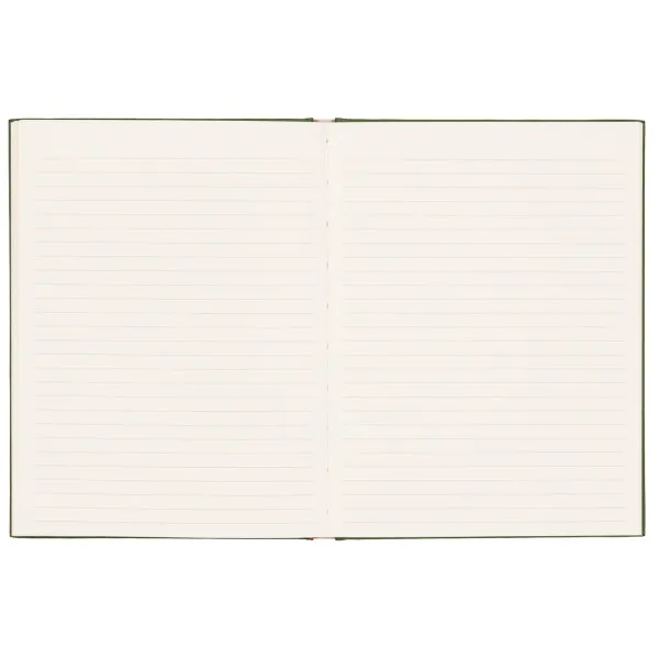 DOPO notes ZMIJA 