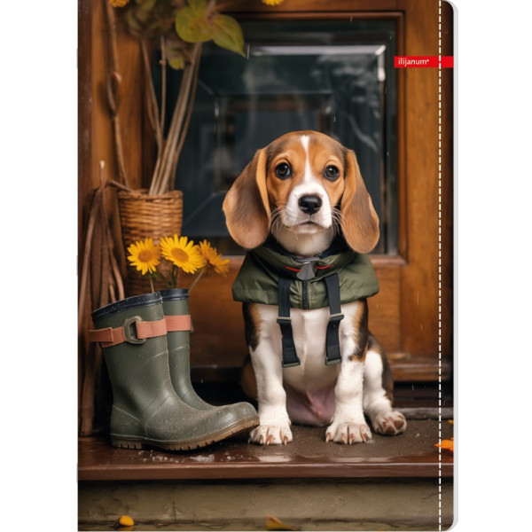 Sveska na kvadratiće A4 PETS 52 lista (Više vrsta) 