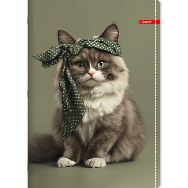 Sveska na kvadratiće A4 PETS 52 lista (Više vrsta) 