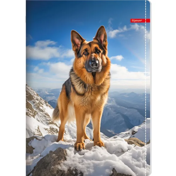 Sveska na linije A4 PETS 52 lista (Više vrsta) 