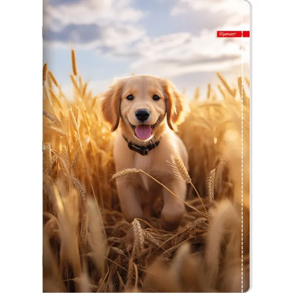 Sveska na kvadratiće A5 PETS 52 lista (Više vrsta) 