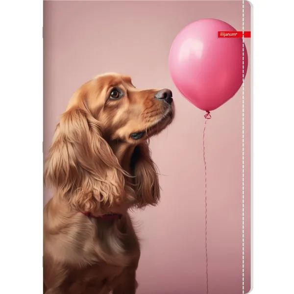 Sveska na kvadratiće A5 PETS 52 lista (Više vrsta) 