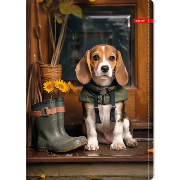 Sveska na linije A5 PETS 52 lista (Više vrsta) 
