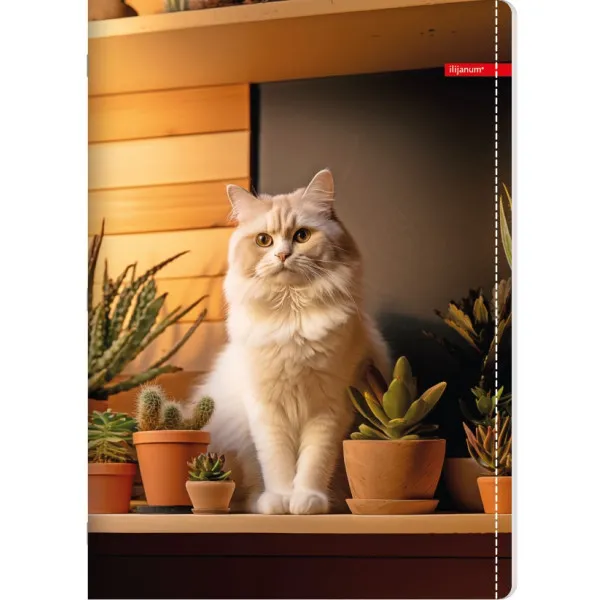 Sveska na linije A5 PETS 52 lista (Više vrsta) 