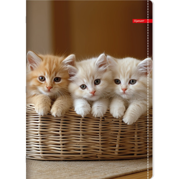 Sveska na linije A5 PETS 52 lista (Više vrsta) 