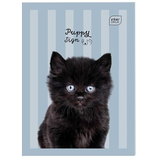 Sveska na kvadratiće A6 PUPPY 32 lista (Više vrsta) 