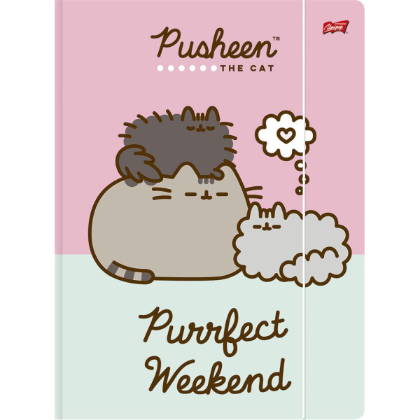 Fascikla A4 PUSHEEN THE CAT (DVE VRSTE) 