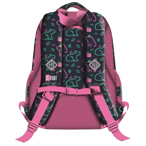 Ranac školski CAPYBARA 15'' 