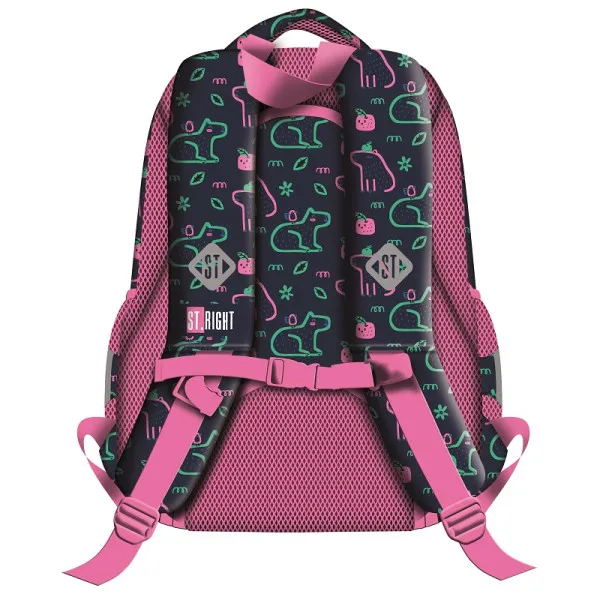 Ranac školski CAPYBARA 15'' 