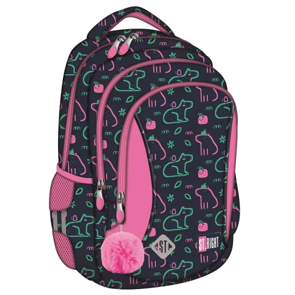 Ranac školski CAPYBARA 15'' 